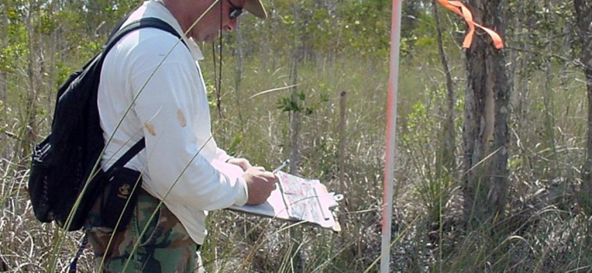 Environmental Scientist performs a field study